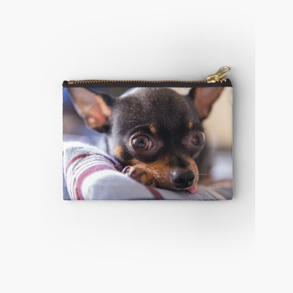 Item preview, Cute Chihuahua Photo designed and sold by TheAnimalZ00.