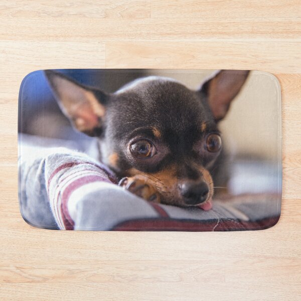 Item preview, Cute Chihuahua Photo designed and sold by TheAnimalZ00.