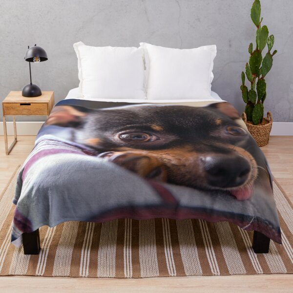 Item preview, Cute Chihuahua Photo designed and sold by TheAnimalZ00.