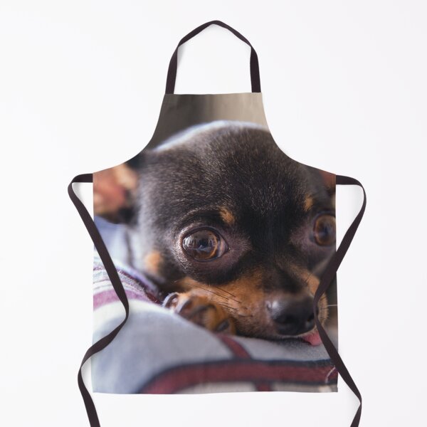 Item preview, Cute Chihuahua Photo designed and sold by TheAnimalZ00.