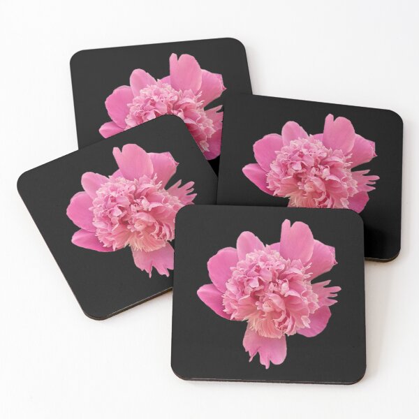 Item preview, Pink Peony Delicate Romantic - Peony Flower Close Up Macro designed and sold by The Sticker Bureau.