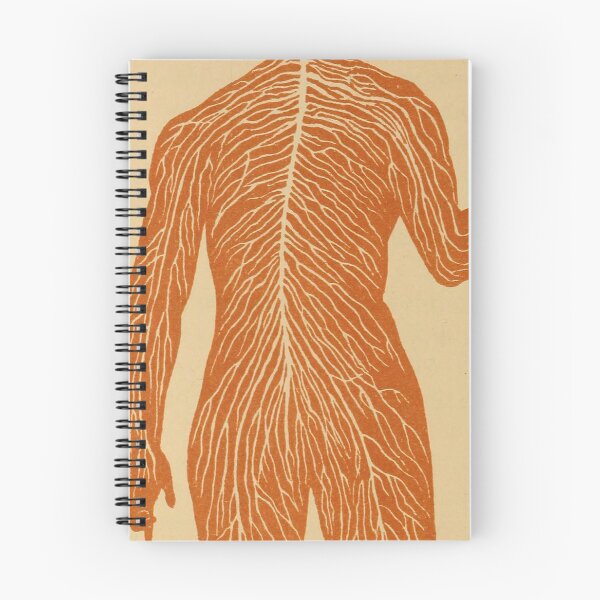 Item preview, Vintage Human Nervous System Illustration (1887) designed and sold by BravuraMedia.