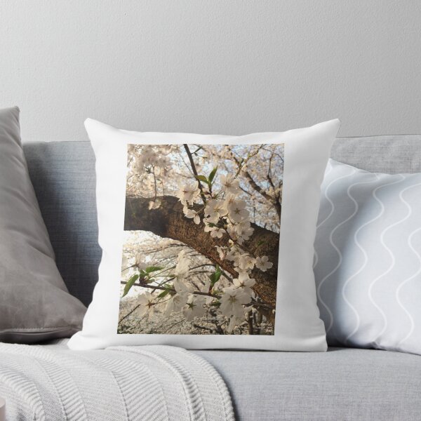 Item preview, Cherry blossom in the setting sun  designed and sold by rani.