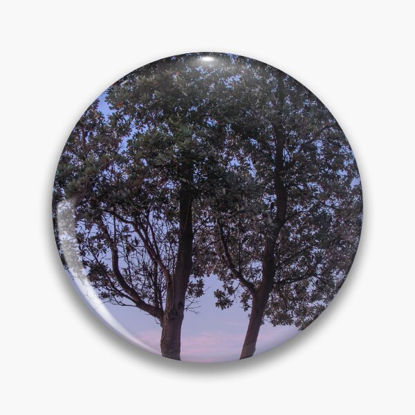 Item preview, Banksia Tree, Dromana, Mornington Peninsula, Victoria, Australia designed and sold by Vicki Walsh.