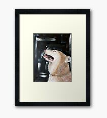 Cherry Framed Print