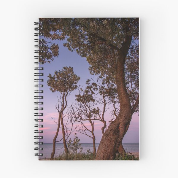 Item preview, Dromana Banksia designed and sold by Vicki Walsh.