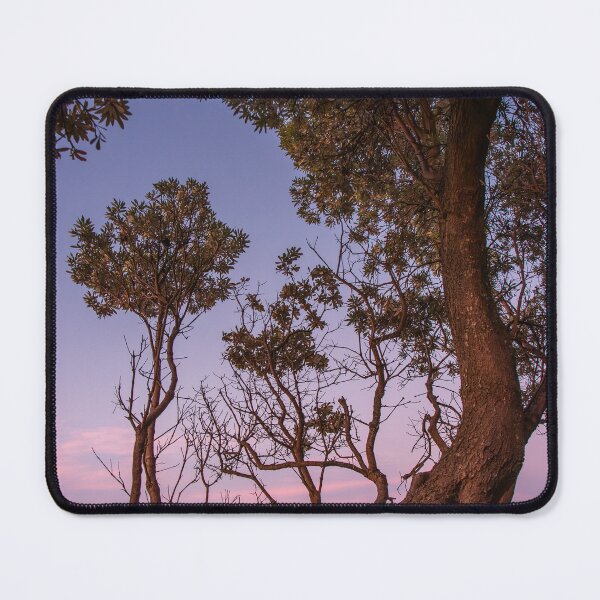 Item preview, Dromana Banksia designed and sold by Vicki Walsh.