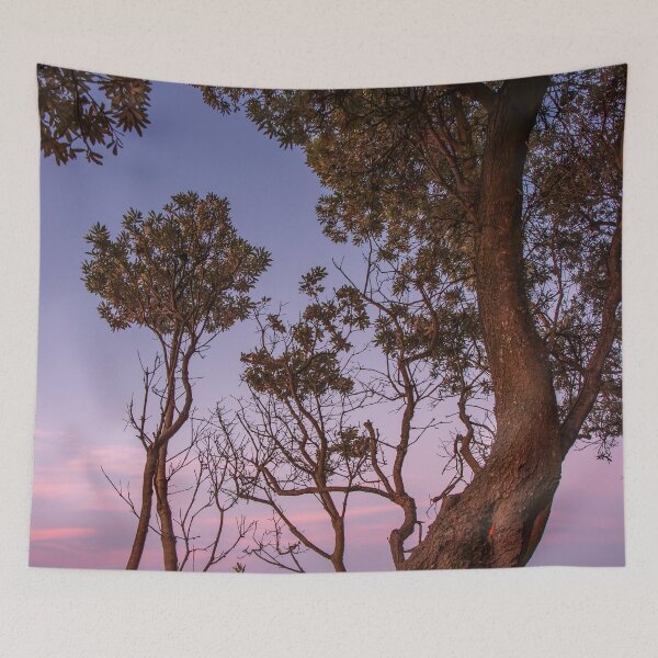 Item preview, Dromana Banksia designed and sold by Vicki Walsh.