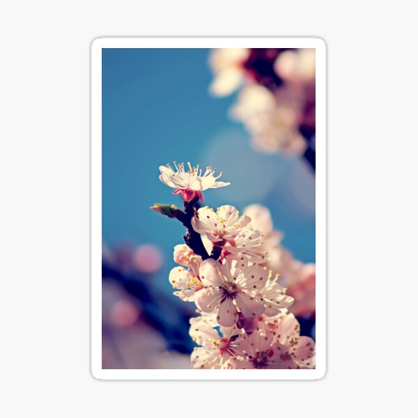 Kissed by the sun Sticker