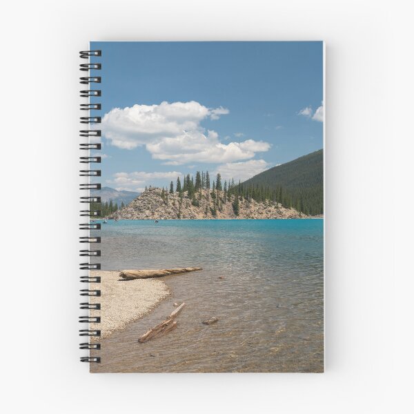 Item preview, Lake Moraine driftwood designed and sold by hawkie.
