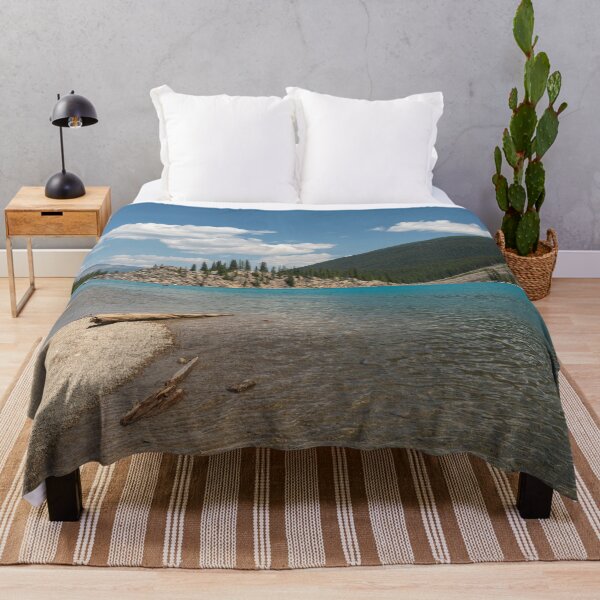 Item preview, Lake Moraine driftwood designed and sold by hawkie.