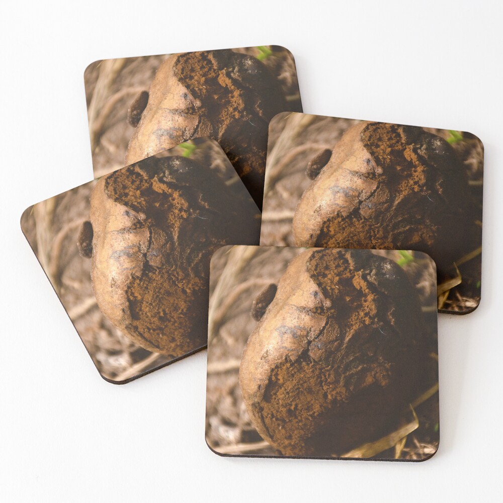 Item preview, Coasters (Set of 4) designed and sold by MercerImages.