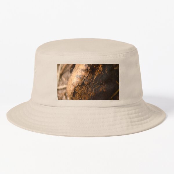 Item preview, Puffball Two designed and sold by MercerImages.