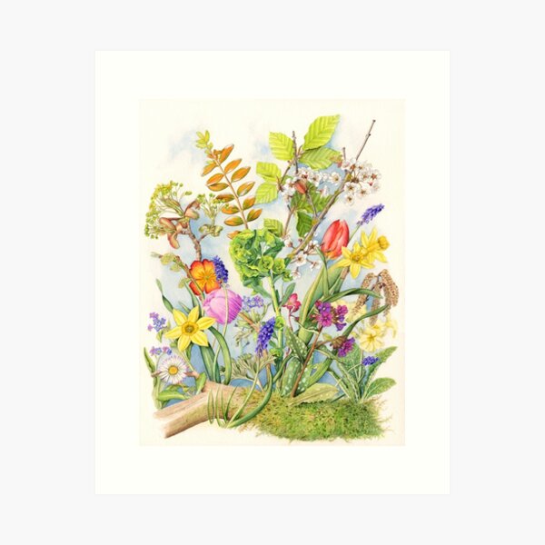 Item preview, Spring Collection, 1 of a series of 4 (watercolour on paper) designed and sold by Painting By Nature.