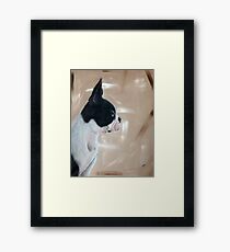 Coco Framed Print