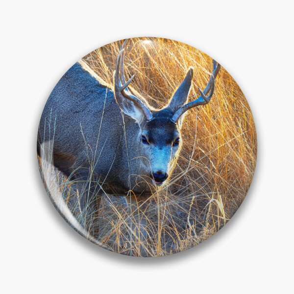 Item preview, The Buck in the Badlands designed and sold by Kathy Weaver.