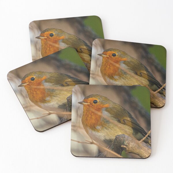 Item preview, Robin designed and sold by adam-bullock.