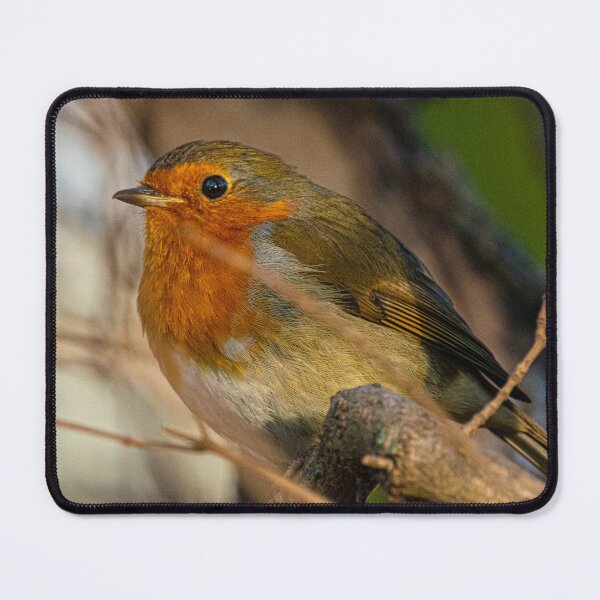 Item preview, Robin designed and sold by adam-bullock.