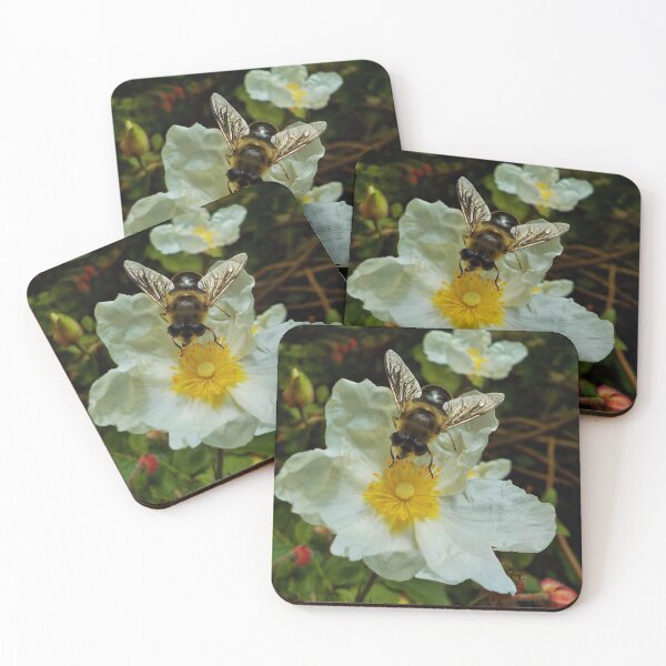 Item preview, Bee on Cistus Flower designed and sold by lezvee.