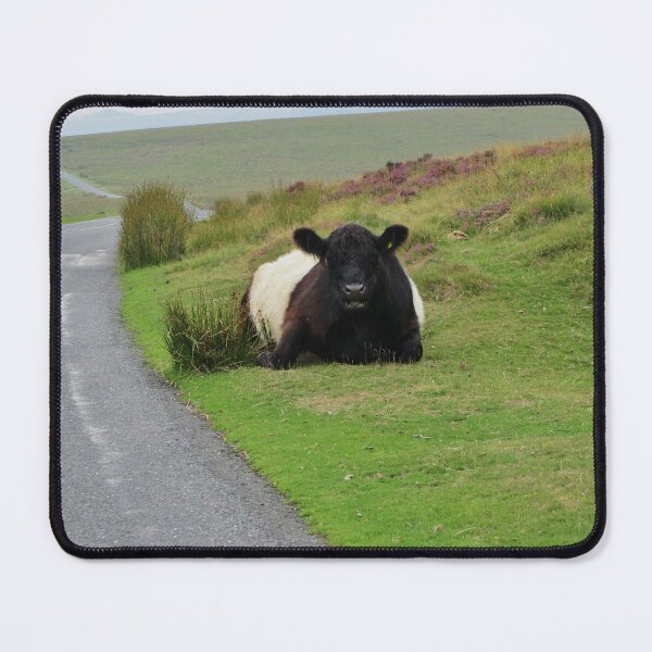 Item preview, Dartmoor Cow 2 designed and sold by lezvee.