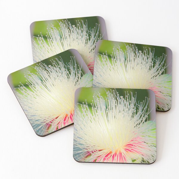 Item preview, cute red and white flowers of careya arborea. designed and sold by MiMee4451.