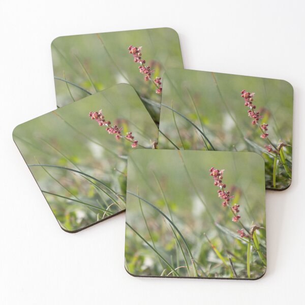 Item preview, Lawn designed and sold by Calidris Fotografie Steffi & Ben Köppler.