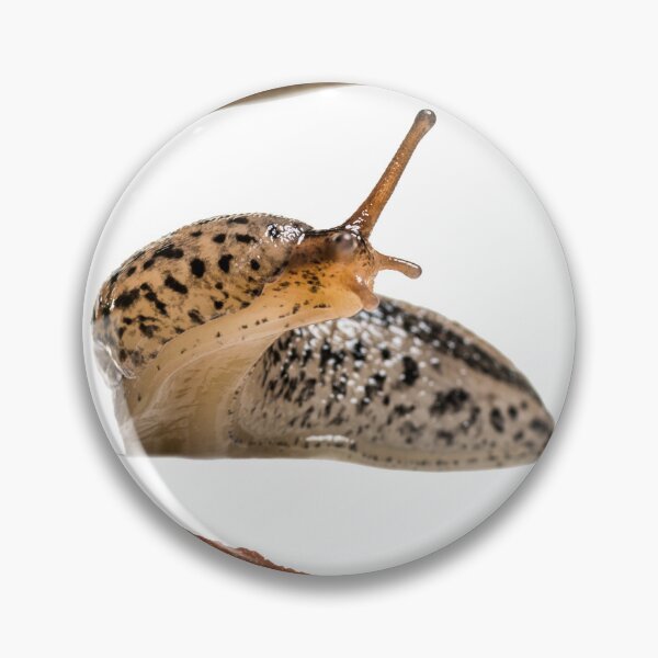 Item preview, Slug stickers designed and sold by incurablehippie.