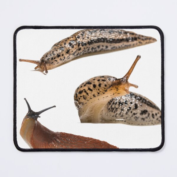 Item preview, Slug stickers designed and sold by incurablehippie.