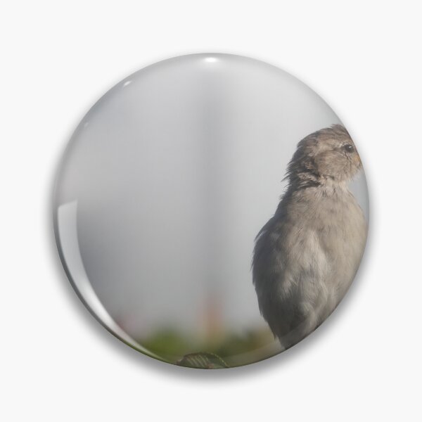 Item preview, Eurasian tree sparrow designed and sold by Calidris Fotografie Steffi & Ben Köppler.