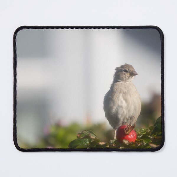 Item preview, Eurasian tree sparrow designed and sold by Calidris Fotografie Steffi & Ben Köppler.