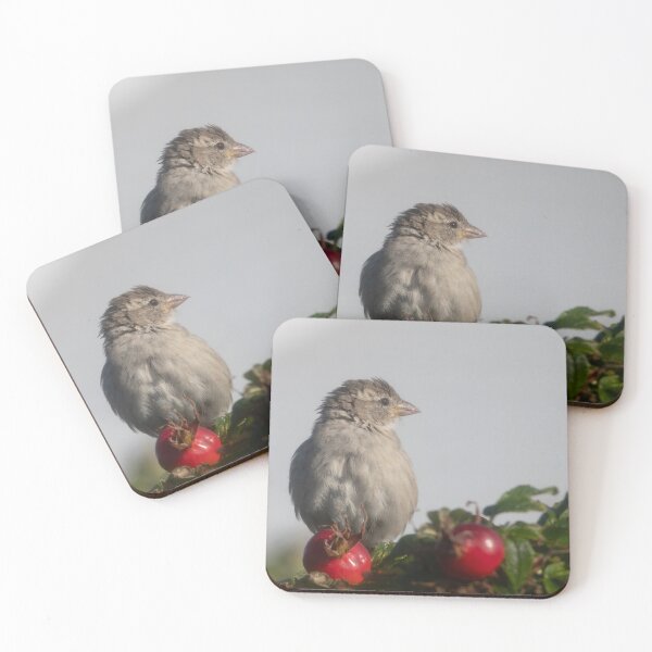 Item preview, Eurasian tree sparrow designed and sold by Calidris Fotografie Steffi & Ben Köppler.