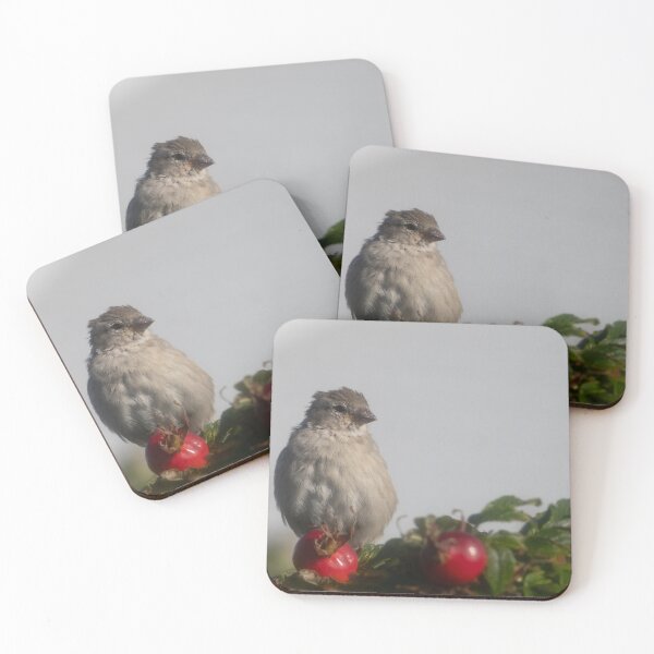 Item preview, Eurasian tree sparrow designed and sold by Calidris Fotografie Steffi & Ben Köppler.