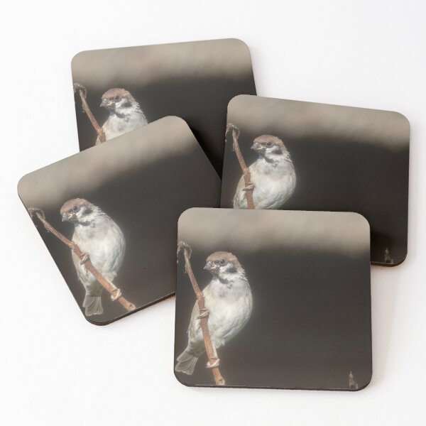 Item preview, Eurasian tree sparrow designed and sold by Calidris Fotografie Steffi & Ben Köppler.