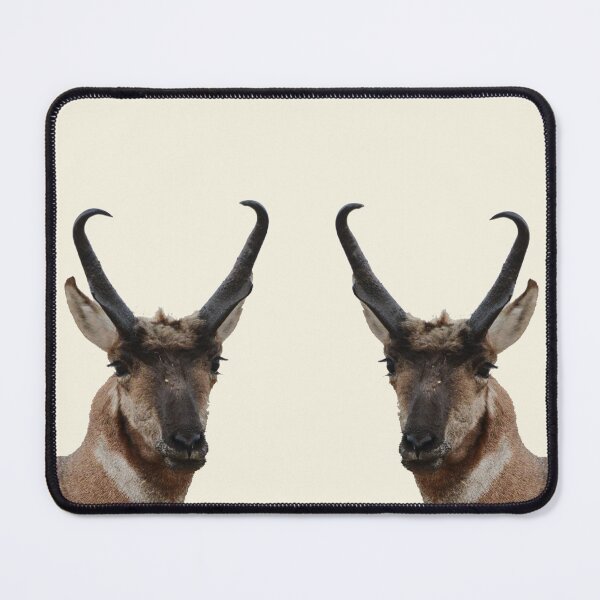 Item preview, Pronghorn Bucks designed and sold by Whisperingpeaks.