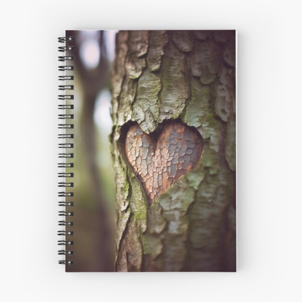 Item preview, VALENTINES |  Arborglyph  (Don't do this. It hurts the tree!) designed and sold by RedHandedOD.