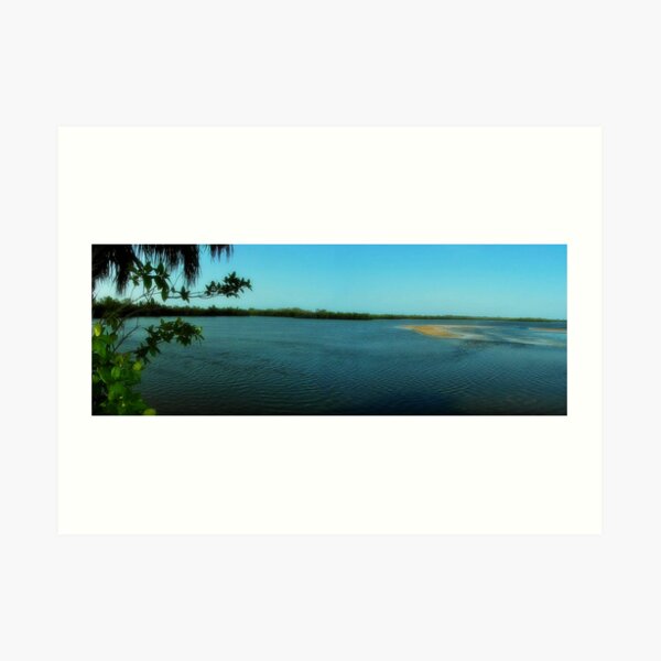 JN Ding Darling NWR Art Print