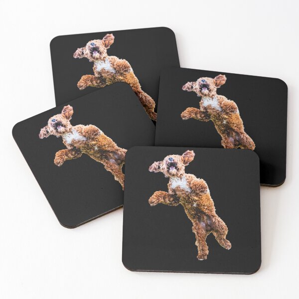 Item preview, Mad Cockapoo designed and sold by Paul Thompson Photography.