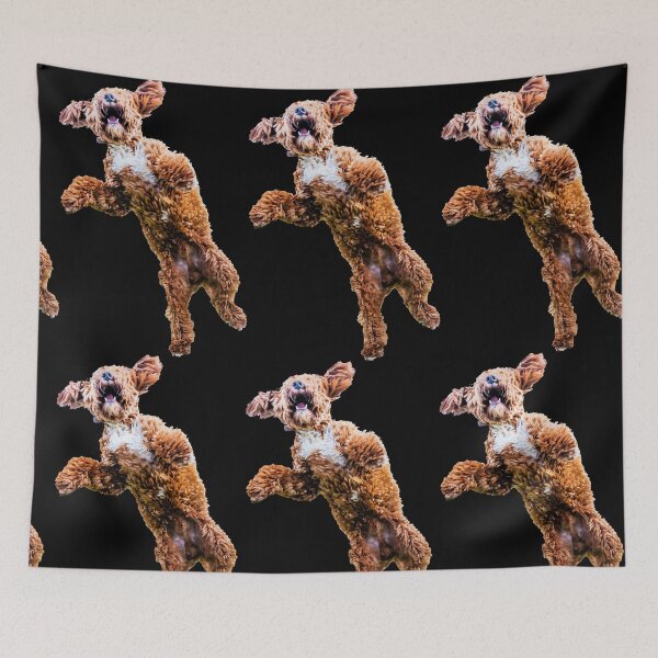 Item preview, Mad Cockapoo designed and sold by Paul Thompson Photography.