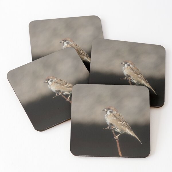 Item preview, Eurasian tree sparrow designed and sold by Calidris Fotografie Steffi & Ben Köppler.