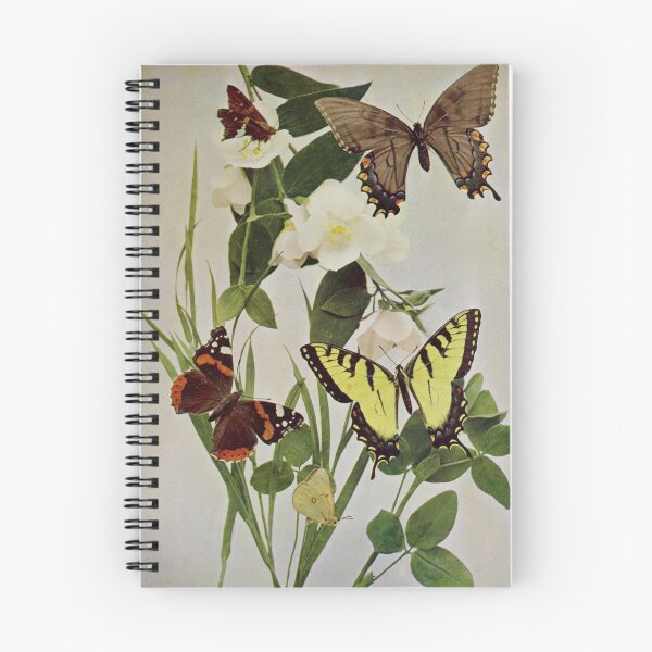 Item preview, Vintage Butterflies in Nature Illustration (1899) designed and sold by BravuraMedia.