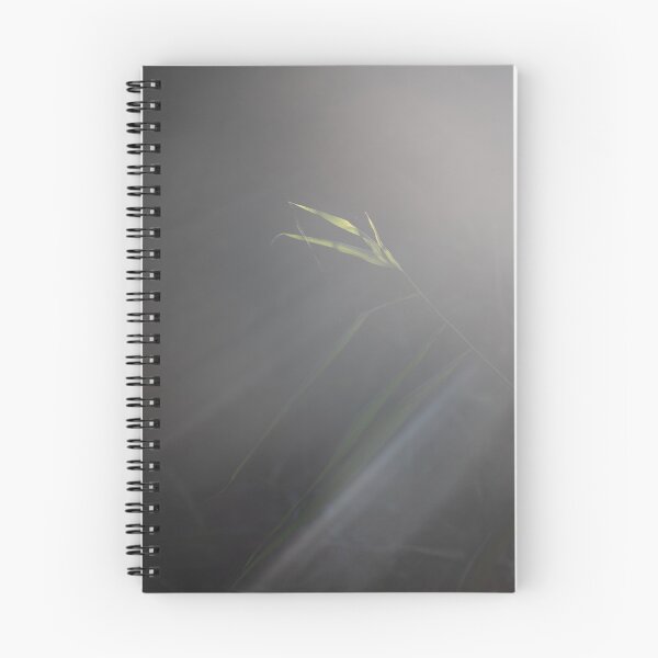 Item preview, Common Reed designed and sold by Calidris Fotografie Steffi & Ben Köppler.