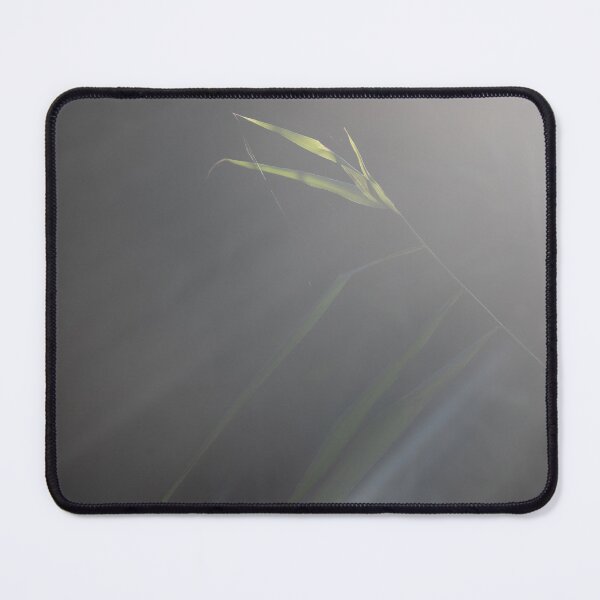 Item preview, Common Reed designed and sold by Calidris Fotografie Steffi & Ben Köppler.