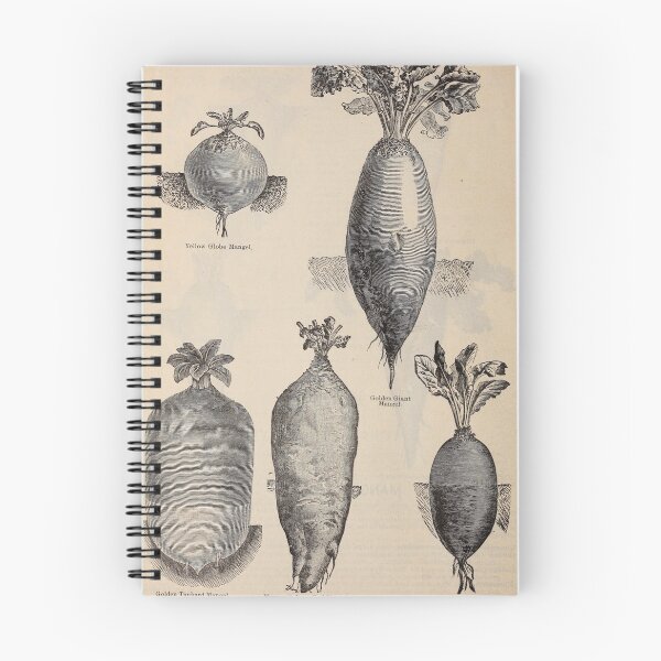 Item preview, Vintage Illustration of Various Turnips (1897) designed and sold by BravuraMedia.