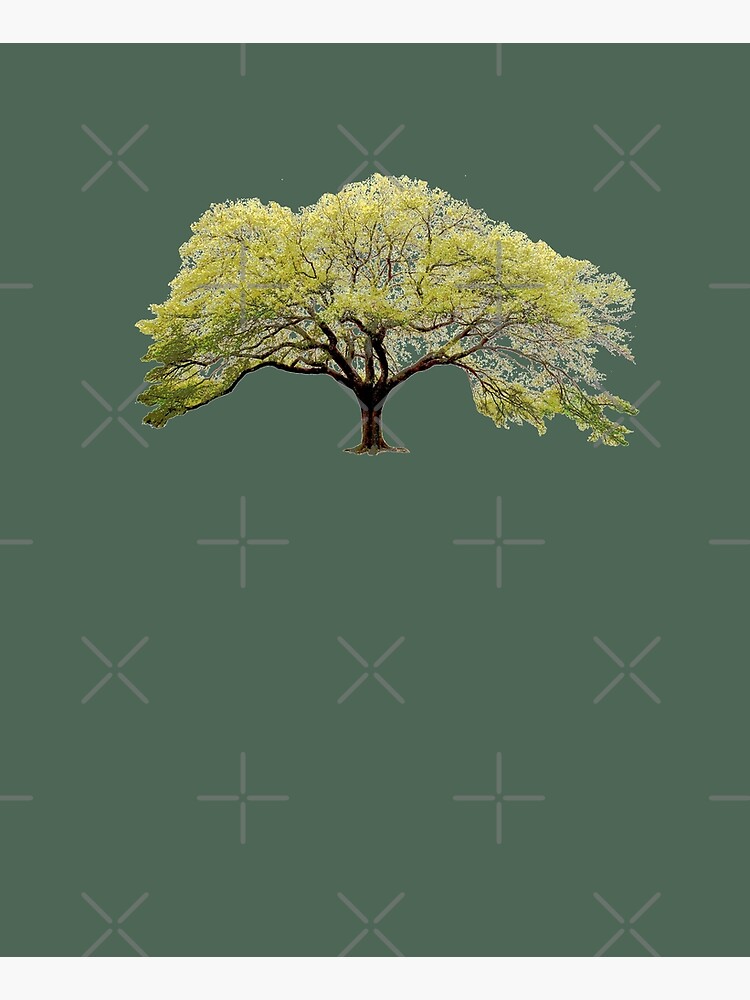 Thumbnail 6 of 6, Apron, Oak Tree designed and sold by thedrumstick.