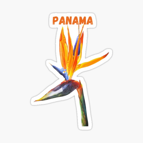 Panama Bird of Paradise Painting by Alvaro Miranda Sticker