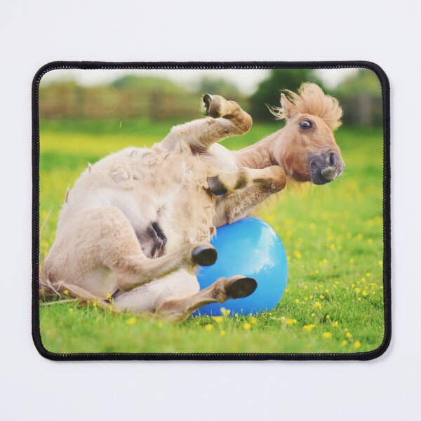 Item preview, Alan the Shetland Pony Playing with a Spacehopper designed and sold by may whiston.