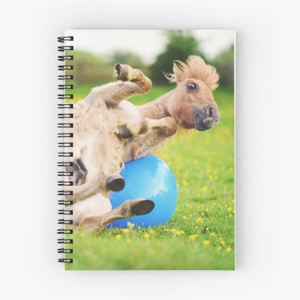 Item preview, Alan the Shetland Pony Playing with a Spacehopper designed and sold by may whiston.