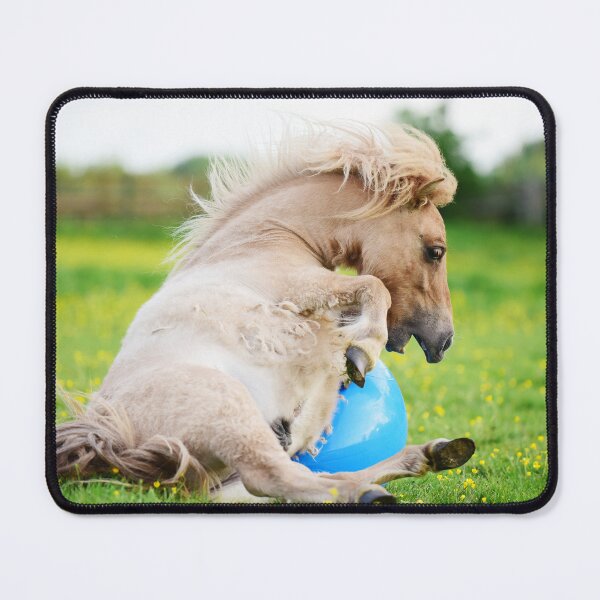 Item preview, Alan the Shetland Pony Biting a Spacehopper designed and sold by may whiston.