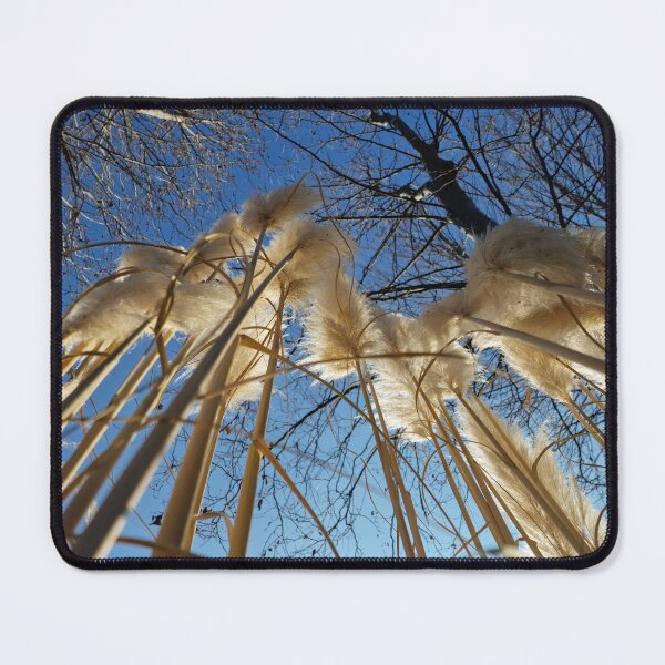 Item preview, Pampas grass upwords designed and sold by Gaboro.