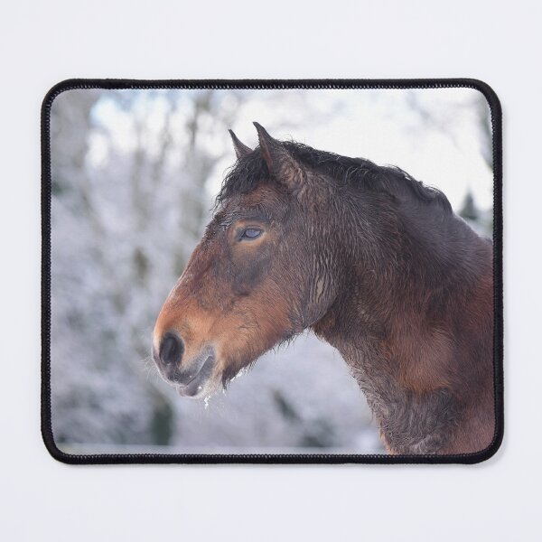 Item preview, Merry the Exmoor Pony in the Snow designed and sold by may whiston.